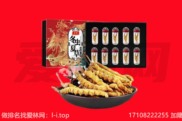 嵩县回收虫草.jpg